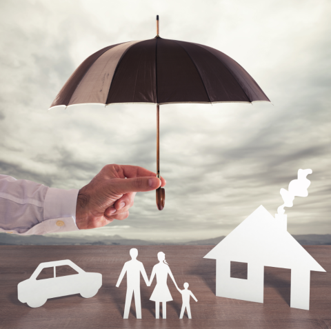 P&C Insurance & Risk Management | Long Island Advisor